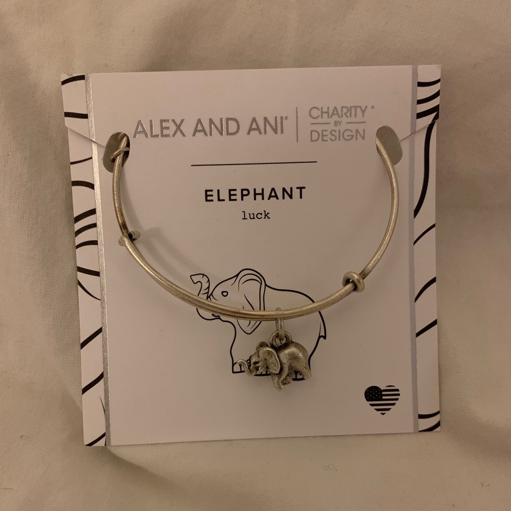 Alex and Ani Bracelet